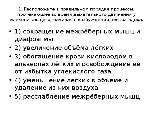 Процессы протекающие во время дыхательного движения