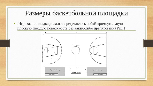 Назовите размеры баскетбольной площадки