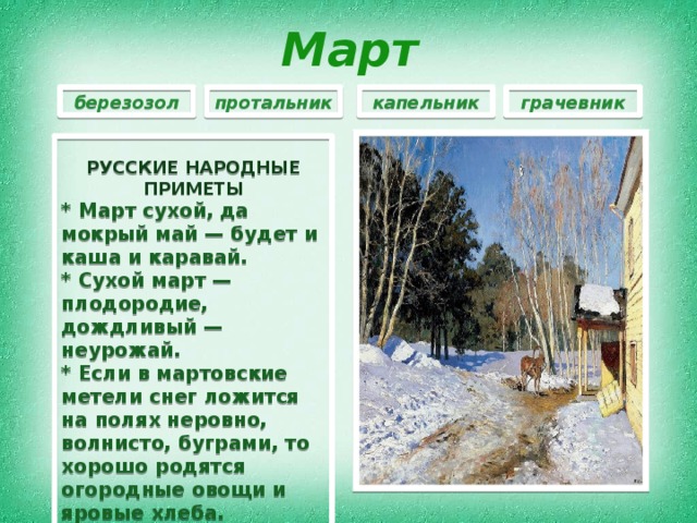Март березозол протальник капельник грачевник  РУССКИЕ НАРОДНЫЕ ПРИМЕТЫ * Март сухой, да мокрый май — будет и каша и каравай. * Сухой март — плодородие, дождливый — неурожай. * Если в мартовские метели снег ложится на полях неровно, волнисто, буграми, то хорошо родятся огородные овощи и яровые хлеба. * Частые туманы в марте предвещают дождливое лето. * Если в январе — март, то жди января в марте 