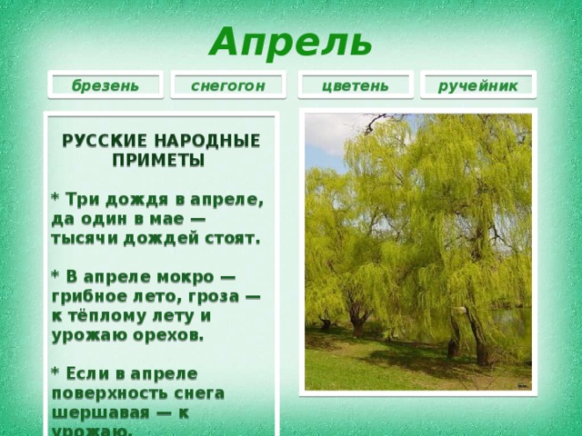 Апрель брезень снегогон цветень ручейник  РУССКИЕ НАРОДНЫЕ ПРИМЕТЫ   * Три дождя в апреле, да один в мае — тысячи дождей стоят.  * В апреле мокро — грибное лето, гроза — к тёплому лету и урожаю орехов.  * Если в апреле поверхность снега шершавая — к урожаю.  
