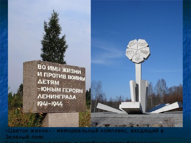 «Цветок жизни» - мемориальный комплекс, входящий в Зеленый пояс Славы. Создан в память о погибших детях блокадного Ленинграда. 