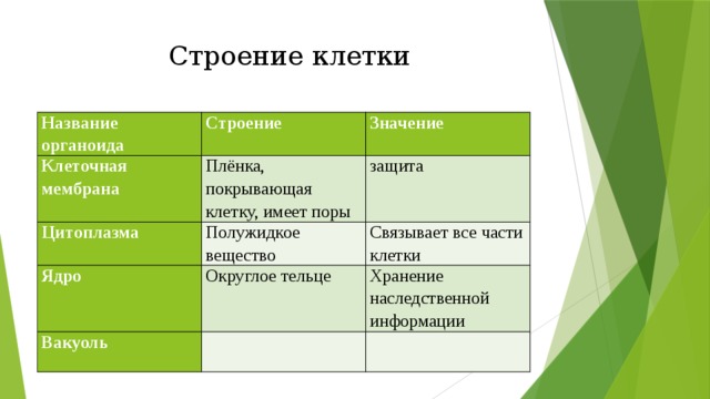 Мембрана таблица. Таблица по биологии части клетки строение функции. Строение и функции растительной клетки таблица. Таблица по биологии структура клетки строение функции. Строение живой клетки таблица.