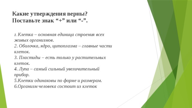 Какие утверждения верны компьютеры могут соединяться между собой только с помощью телефонных линий