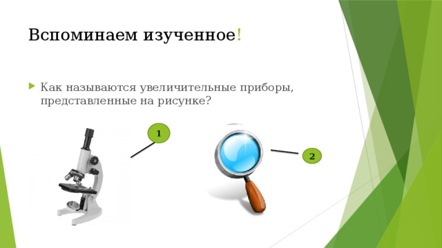 Вспомните изученный в 7 классе. Сообщение на тему увеличительные приборы. Биология назовите представленные увеличительные приборы. Название увеличительный прибор биология 5. Вспоминаем изученное.