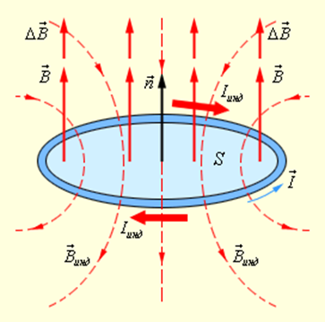 Проводящий контур. Знак индукции физика. Индукция обозначение. Табличка индукции. Знак индуктивности в физике.