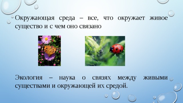 Окружающая среда – все, что окружает живое существо и с чем оно связано Экология – наука о связях между живыми существами и окружающей их средой. 