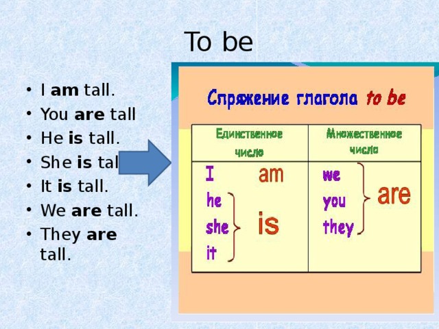 Is tall перевод. He is Tall. They are Tall общий вопрос. How Tall .......... He. Tall she.