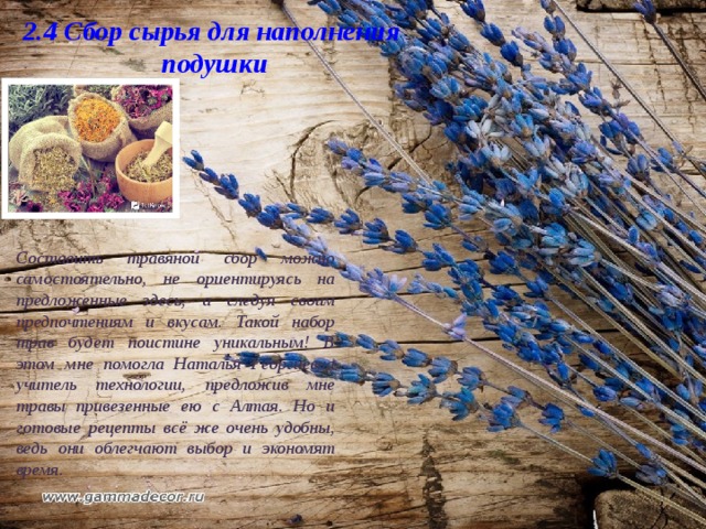 2.4 Сбор сырья для наполнения  подушки Составить травяной сбор можно самостоятельно, не ориентируясь на предложенные здесь, а следуя своим предпочтениям и вкусам. Такой набор трав будет поистине уникальным! В этом мне помогла Наталья Георгиевна учитель технологии, предложив мне травы привезенные ею с Алтая. Но и готовые рецепты всё же очень удобны, ведь они облегчают выбор и экономят время. 