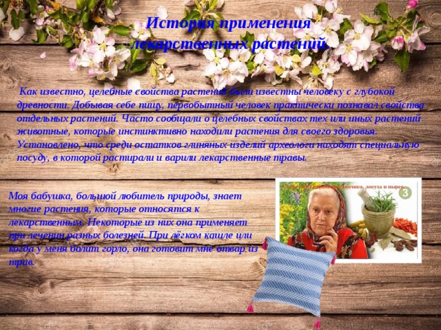 История применения лекарственных растений.  Как известно, целебные свойства растений были известны человеку с глубокой древности. Добывая себе пищу, первобытный человек практически познавал свойства отдельных растений. Часто сообщали о целебных свойствах тех или иных растений животные, которые инстинктивно находили растения для своего здоровья. Установлено, что среди остатков глиняных изделий археологи находят специальную посуду, в которой растирали и варили лекарственные травы. Моя бабушка, большой любитель природы, знает многие растения, которые относятся к лекарственным. Некоторые из них она применяет при лечении разных болезней. При лёгком кашле или когда у меня болит горло, она готовит мне отвар из трав. 