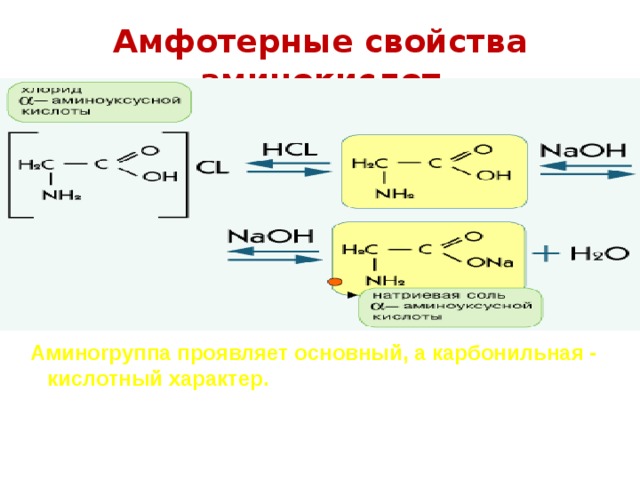 Амфотерные свойства аминокислот Аминоrpyппa проявляет основный, а карбонильная - кислотный характер. Со щелочами аминокислоты реагируют как кислоты, а с кислотами - как основания, т. е. проявляют амфотерные свойства 
