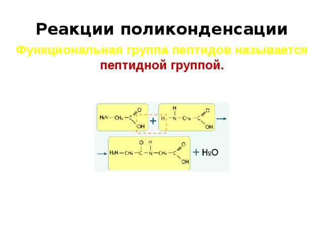 Реакции поликонденсации Функциональная группа пептидов называется пептидной группой. 