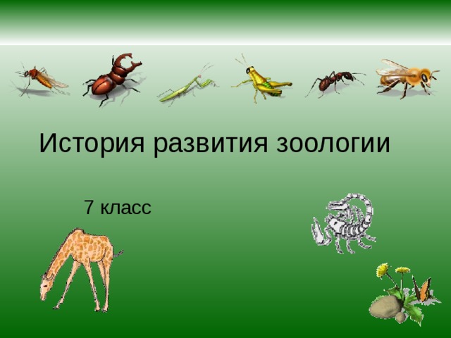 История развития зоологии  7 класс 