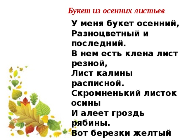 Минус лист