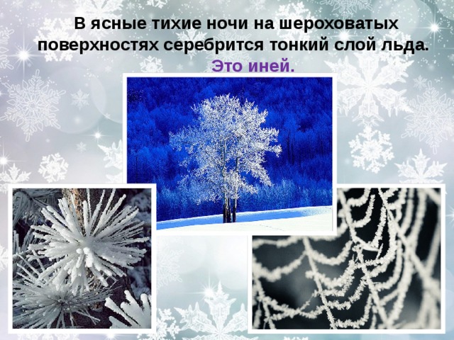 Презентация зима 2 класс. Зимние явления в неживой природе иней. Презентация 