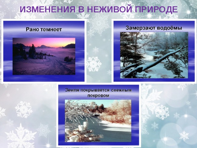 Изменения природы в декабре. Зимние изменения в природе. Зимние изменения в живой и неживой природе. Зимние явления в неживой природе. Сезонные явления в природе зимой.