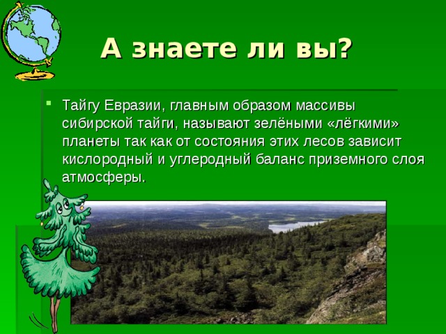 А знаете ли вы? Тайгу Евразии, главным образом массивы сибирской тайги, называют зелёными «лёгкими» планеты так как от состояния этих лесов зависит кислородный и углеродный баланс приземного слоя атмосферы.  