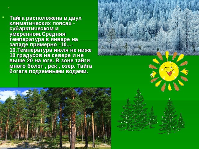 На каких территориях расположена тайга. Расположение тайги. Зона тайги в России. Тайга климатический пояс. Климат пояс тайги.