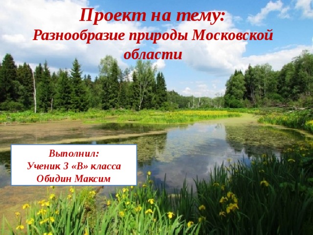 Проект на тему: Разнообразие природы Московской области Выполнил: Ученик 3 «В» класса Обидин Максим 