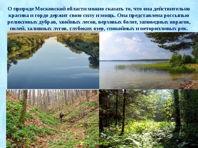 О природе Московской области можно сказать то, что она действительно красива и гордо держит свою силу и мощь. Она представлена россыпью реликтовых дубрав, хвойных лесов, верховых болот, заповедных оврагов, полей, заливных лугов, глубоких озер, спокойных и неторопливых рек. 