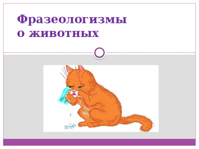 Контрольная фразеология. Фразеологизмы про животных. Фразеологические обороты про животных. Фразеологизмы с названиями животных. Картинки к фразеологизмам о животных.