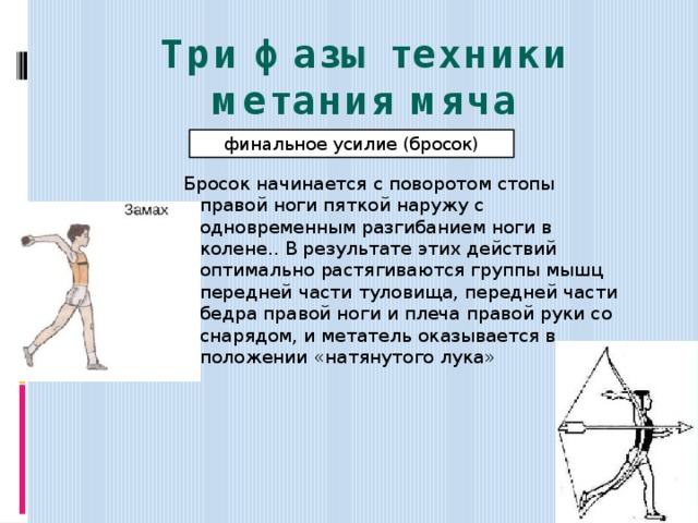 Три фазы техники метания мяча финальное усилие (бросок) Бросок начинается с поворотом стопы правой ноги пяткой наружу с одновременным разгибанием ноги в колене.. В результате этих действий оптимально растягиваются группы мышц передней части туловища, передней части бедра правой ноги и плеча правой руки со снарядом, и метатель оказывается в положении «натянутого лука» 