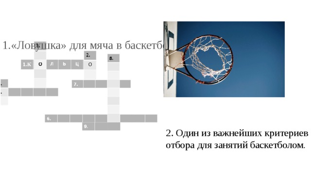 Кроссворд мячи. Кросвордна тему баскетбол. Кроссворд на тему баскетбол. Кроссворд но тему басске. ЛОВУШКА для мяча в баскетболе.