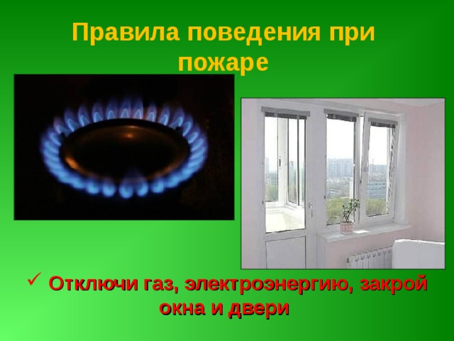 Газ или электричество на кухне что лучше