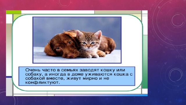 Окружающий мир про кошек и собак. Почему мы любим кошек и собак 1 класс. Проект почему мы любим кошек и собак. Мы любим кошек и собак 1 класс. Проект почему мы любим кошек и собак 1 класс.