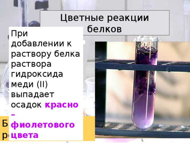 Цветные реакции белков При добавлении к раствору белка раствора гидроксида меди ( II )  выпадает осадок красно – фиолетового цвета Биуретовая реакция 