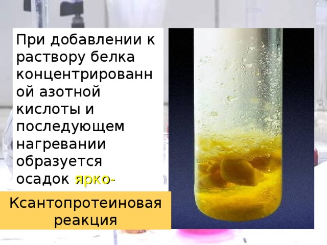 При добавлении к раствору белка концентрированной азотной кислоты и последующем нагревании образуется осадок ярко-желтого цвета Ксантопротеиновая реакция 