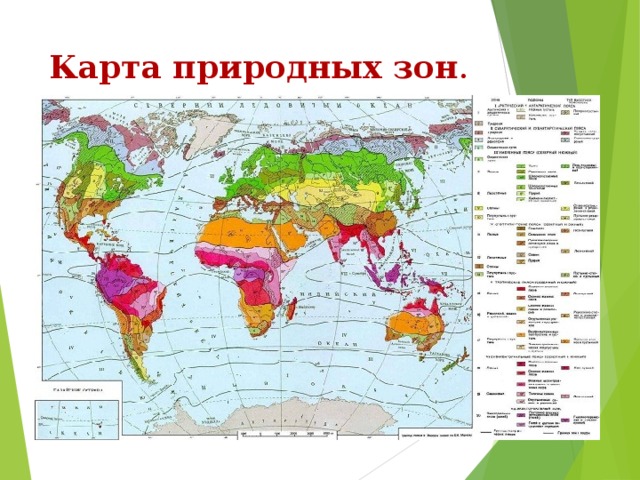 Карта природных зон . 