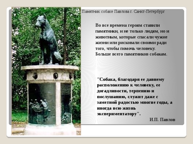 Памятник собаке Павлова г. Санкт-Петербург  Во все времена героям ставили памятники, и не только людям, но и животным, которые спасали чужие жизни или рисковали своими ради того, чтобы помочь человеку. Больше всего памятников собакам. 