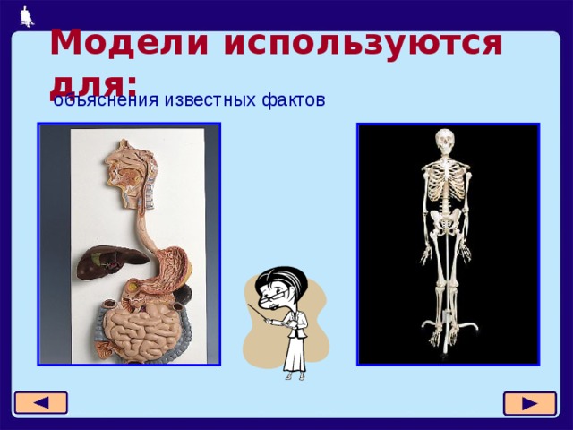 Модели используются для: объяснения известных фактов 11 