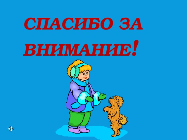 Спасибо за внимание ! 