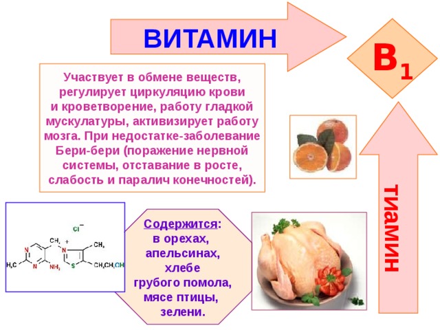 Роль витаминов группы в