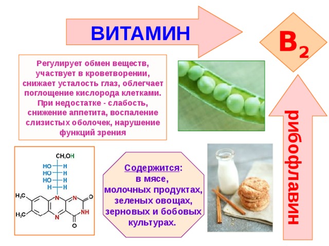Тест по биологии 8 класс тема витамины