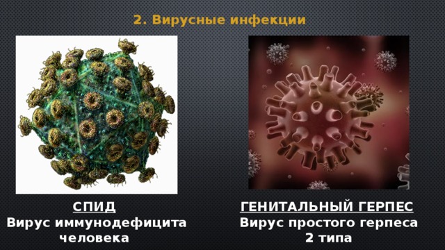 Презентация "Герпесвирусные инфекции" по медицине - скачать проект