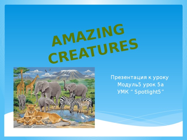 Amazing creatures 5. Amazing creatures 5 класс Spotlight презентация. Amazing creatures 5 класс. Spotlight 5 amazing creatures. Amazing для презентации.