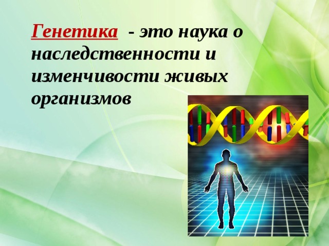  Генетика - это наука о наследственности и изменчивости живых организмов  