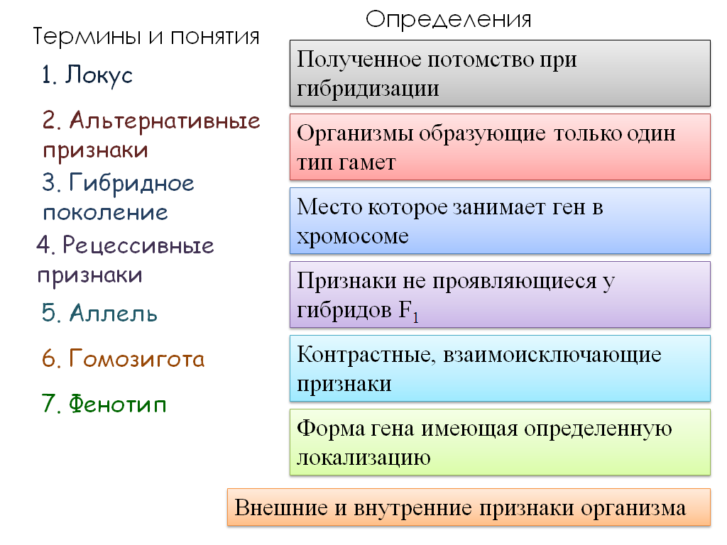 Определить отметить