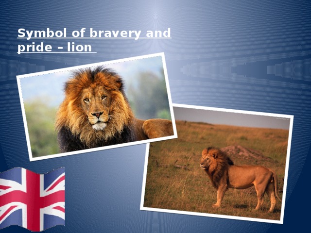 Symbol of bravery and pride – lion 