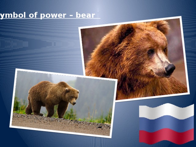 Symbol of power – bear 