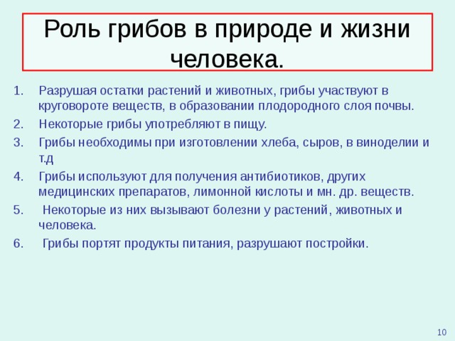 Схема роль грибов в природе и жизни человека