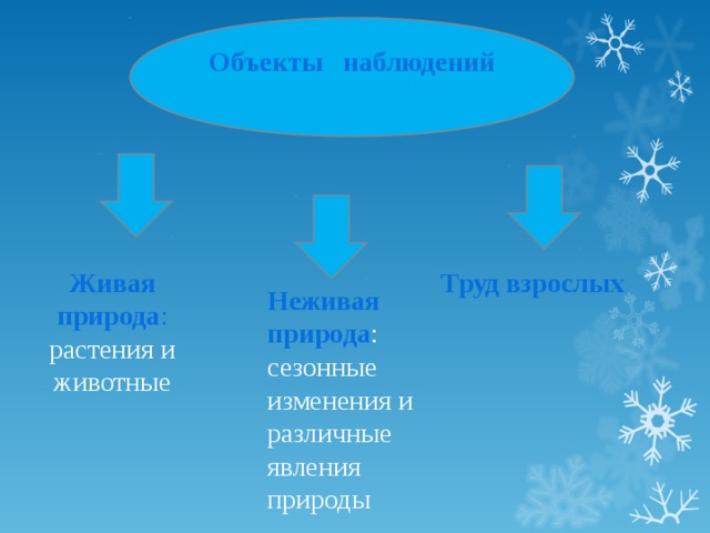 Летние явления в неживой и живой природе 2 класс презентация