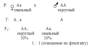 Что значит неполное доминирование в задачах по биологии. Смотреть фото Что значит неполное доминирование в задачах по биологии. Смотреть картинку Что значит неполное доминирование в задачах по биологии. Картинка про Что значит неполное доминирование в задачах по биологии. Фото Что значит неполное доминирование в задачах по биологии