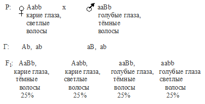 Что значит неполное доминирование в задачах по биологии. Смотреть фото Что значит неполное доминирование в задачах по биологии. Смотреть картинку Что значит неполное доминирование в задачах по биологии. Картинка про Что значит неполное доминирование в задачах по биологии. Фото Что значит неполное доминирование в задачах по биологии