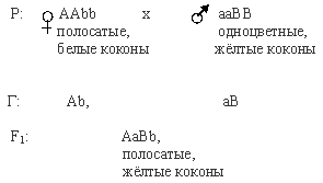 Что значит неполное доминирование в задачах по биологии. Смотреть фото Что значит неполное доминирование в задачах по биологии. Смотреть картинку Что значит неполное доминирование в задачах по биологии. Картинка про Что значит неполное доминирование в задачах по биологии. Фото Что значит неполное доминирование в задачах по биологии