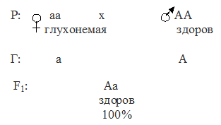 Что значит неполное доминирование в задачах по биологии. Смотреть фото Что значит неполное доминирование в задачах по биологии. Смотреть картинку Что значит неполное доминирование в задачах по биологии. Картинка про Что значит неполное доминирование в задачах по биологии. Фото Что значит неполное доминирование в задачах по биологии