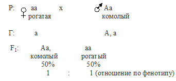 Что значит неполное доминирование в задачах по биологии. Смотреть фото Что значит неполное доминирование в задачах по биологии. Смотреть картинку Что значит неполное доминирование в задачах по биологии. Картинка про Что значит неполное доминирование в задачах по биологии. Фото Что значит неполное доминирование в задачах по биологии