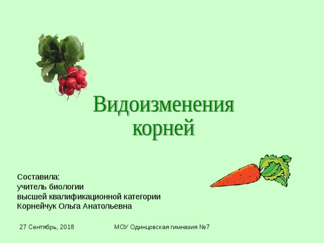 Составила: учитель биологии высшей квалификационной категории Корнейчук Ольга Анатольевна 27 Сентябрь, 2018 МОУ Одинцовская гимназия №7 